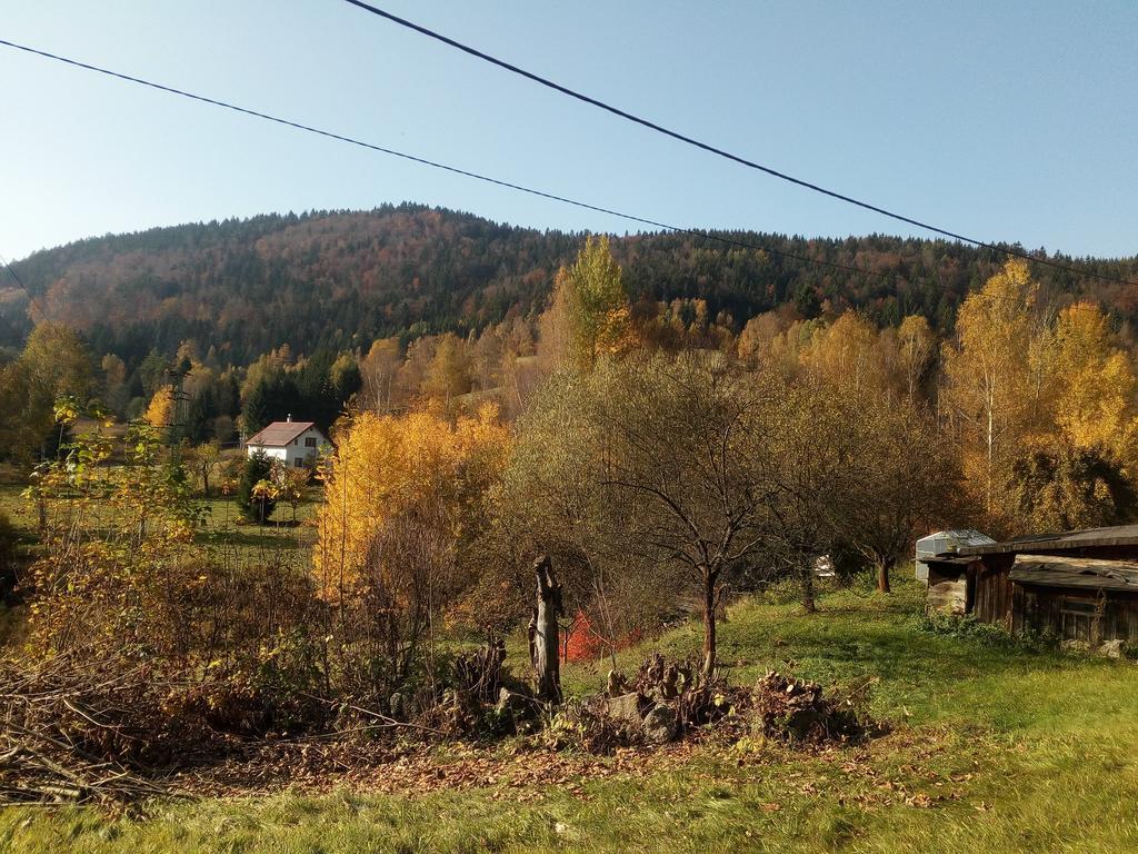 Apartment Krkonosska Tanvald Eksteriør bilde